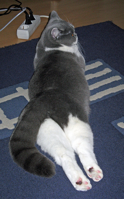 开云体育-精准扶贫足球项目成为地方足球振兴的重要力量，关于开展全国足球发展重点城市建设工作的指导意见