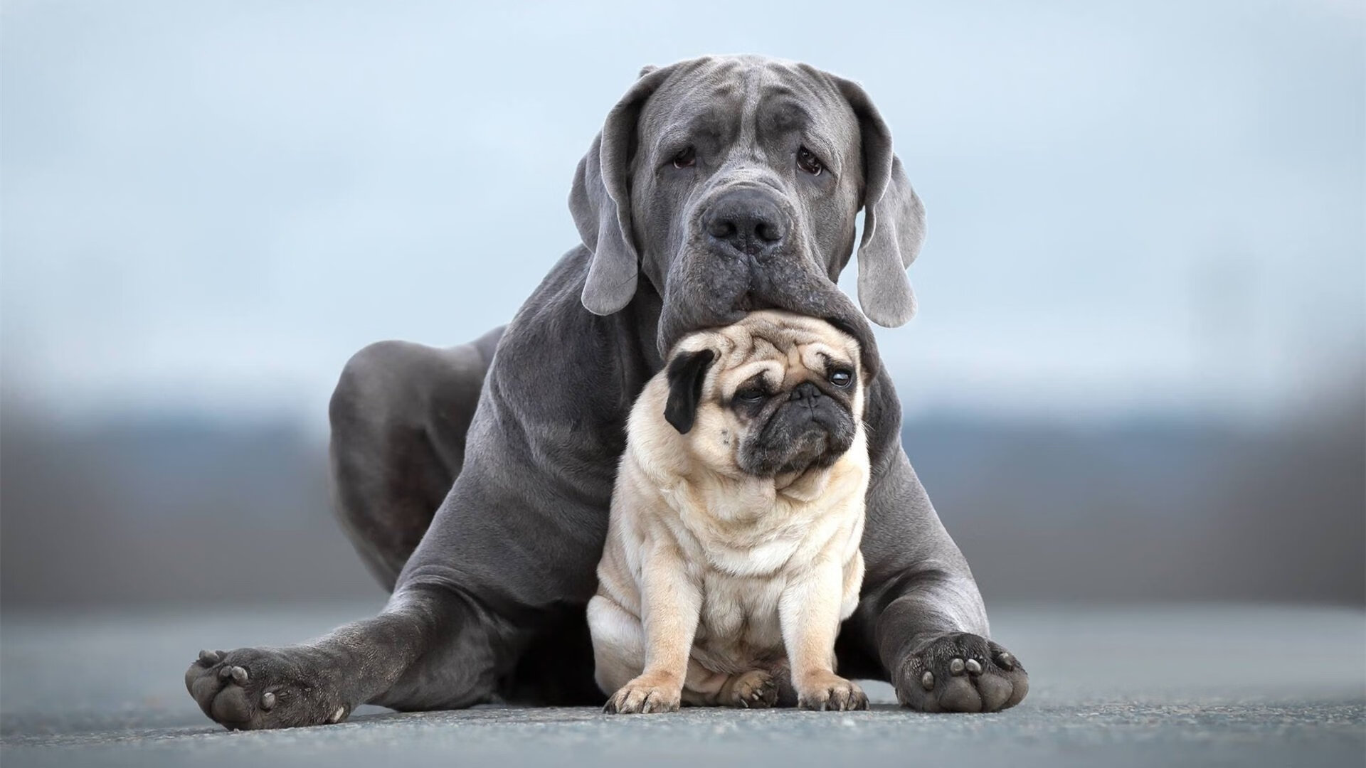 青少年篮球人才培养“金牌课程”在全国范围落地,青少年篮球培训招生简章