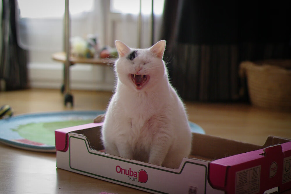 开云·Kaiyun网页版-青少年足球杯：未来之星的闪耀舞台，2021年青少年足球联赛