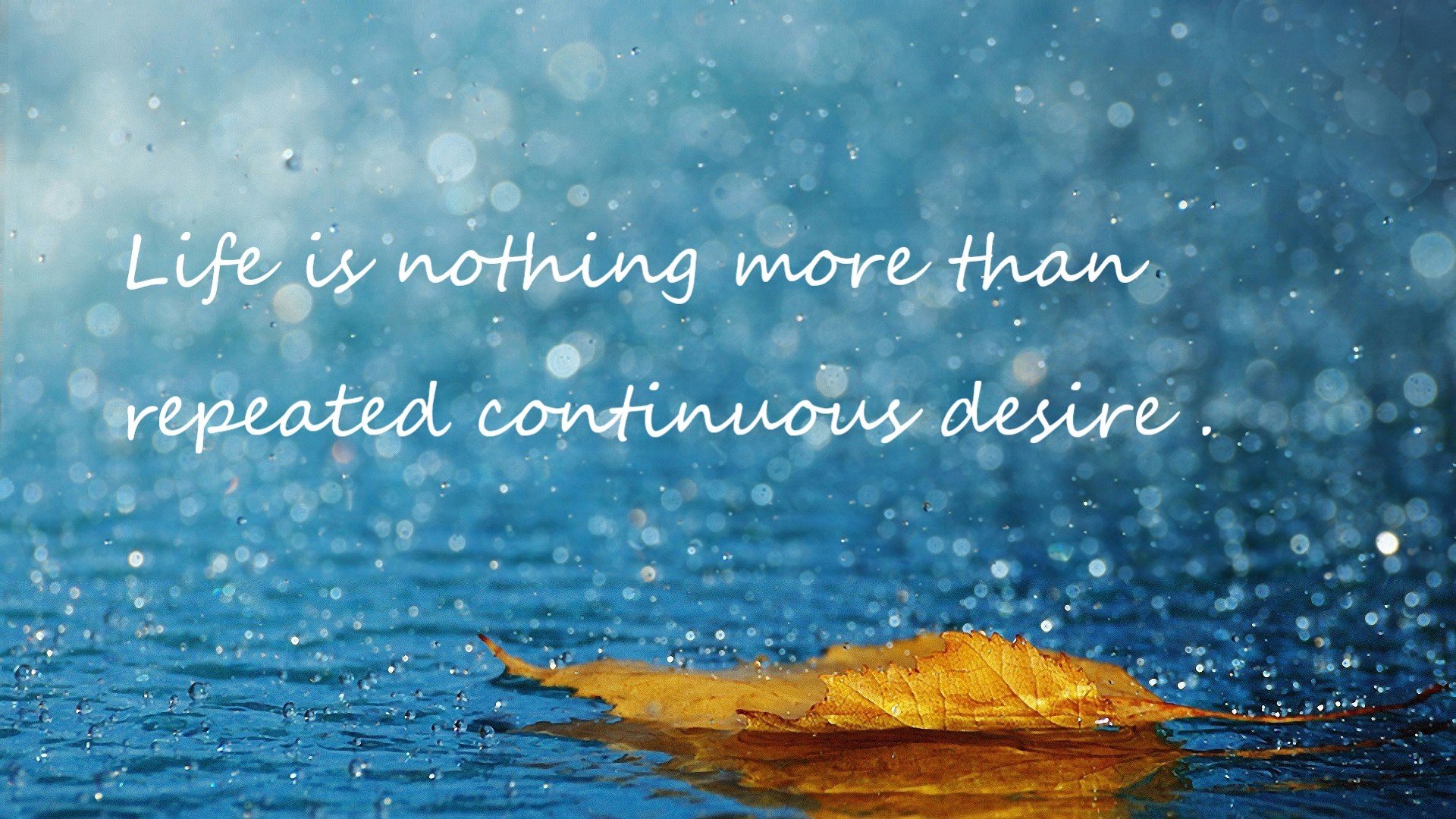 乌迪内斯-那不勒斯，客场失利，意甲乌迪内斯vs那不勒斯