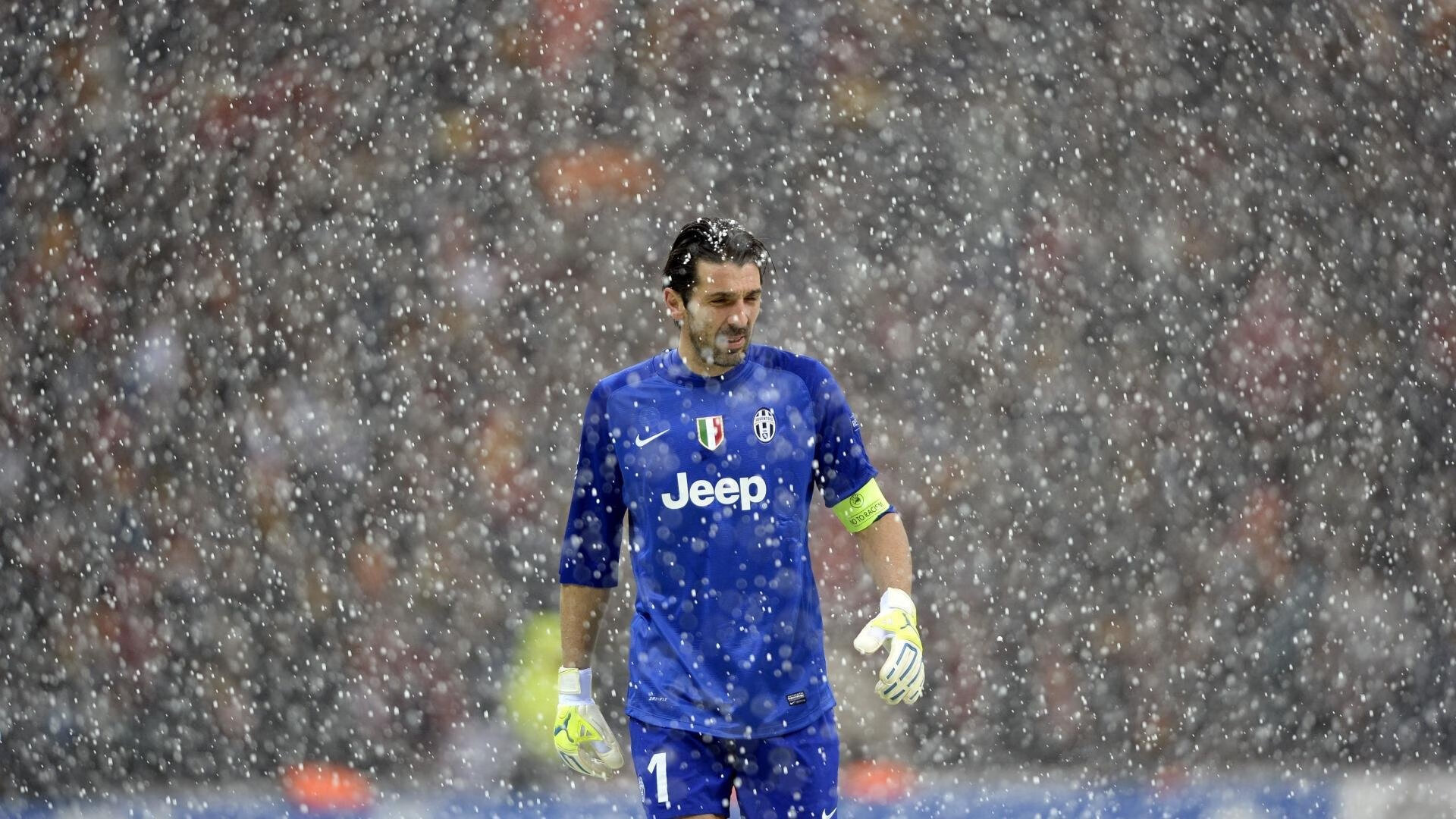 全明星阵容亮相,谁能成为焦点?,全明星阵容啥意思