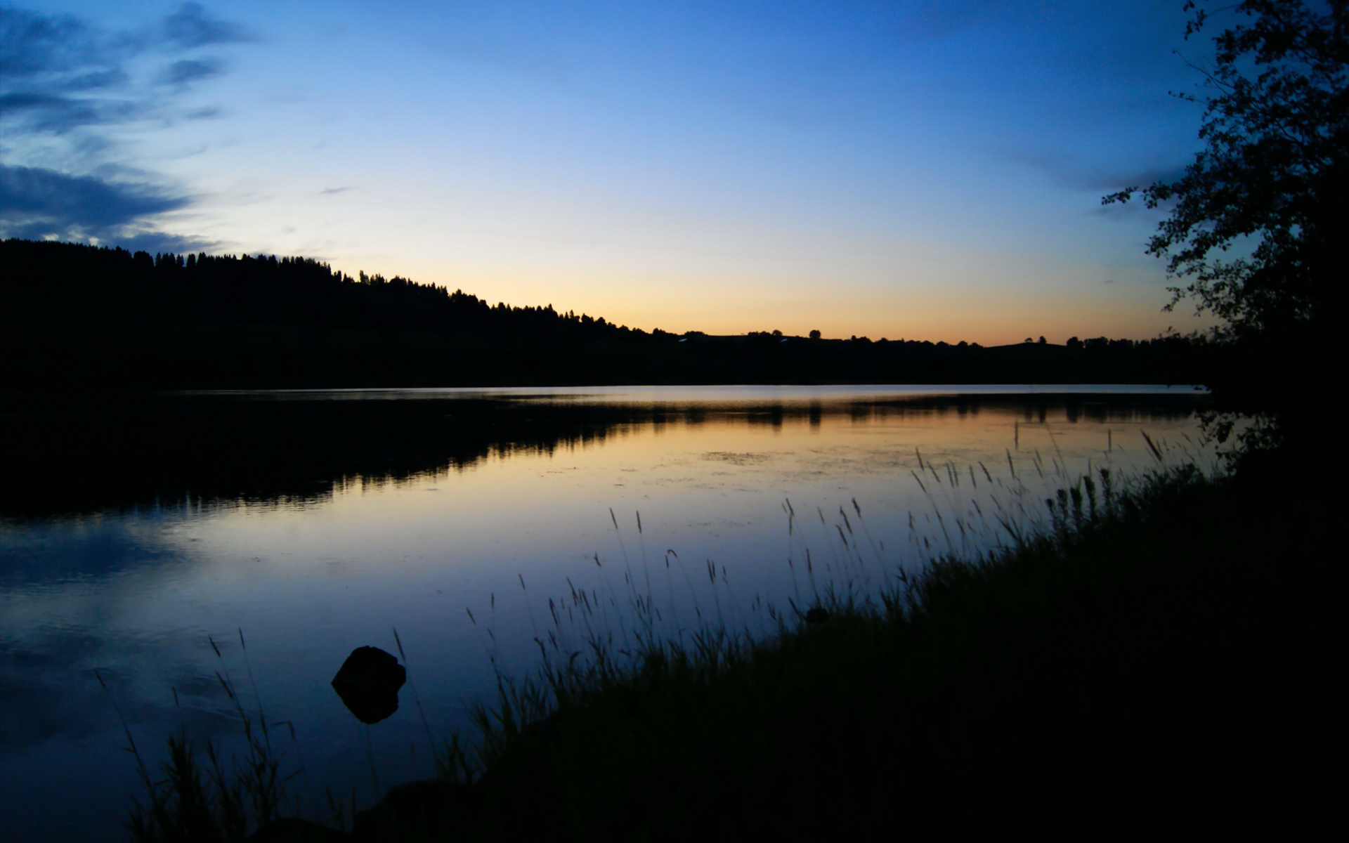 全球篮球豪门风云：精英赛场赛月亮，豪门足球风云蓝苏牙