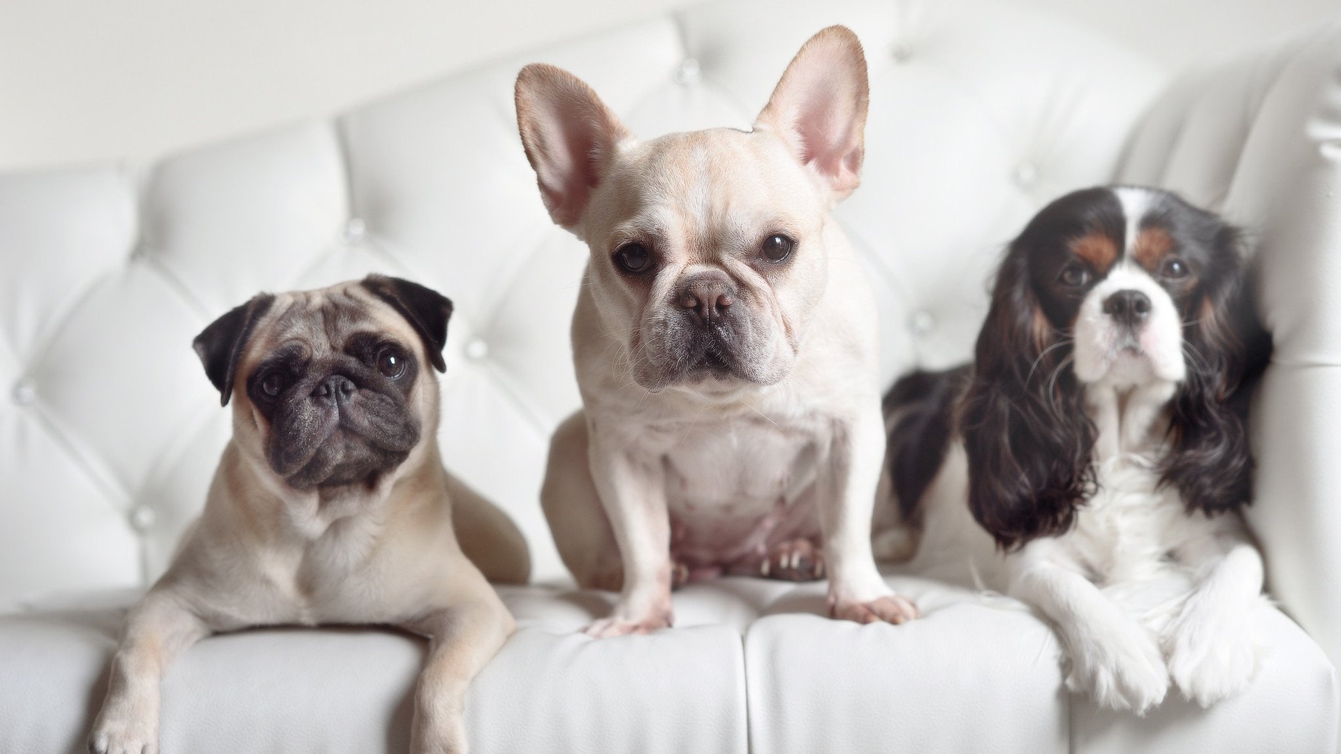 kaiyun体育综合-全场排球冠军庆典现场直击，全场排球冠军庆典现场直击怎么打